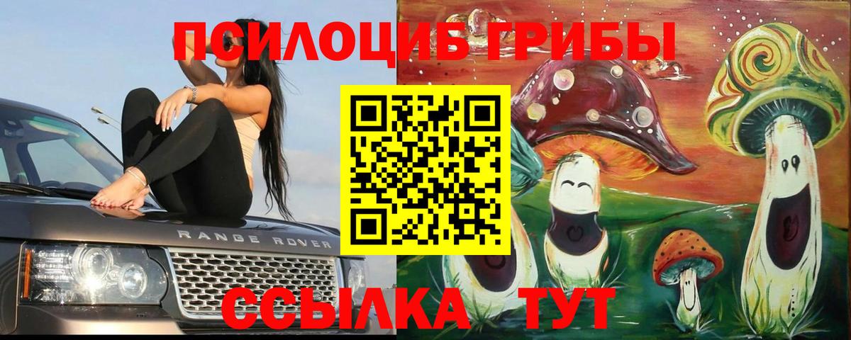 Псилоцибиновые грибы мухоморы Новотроицк