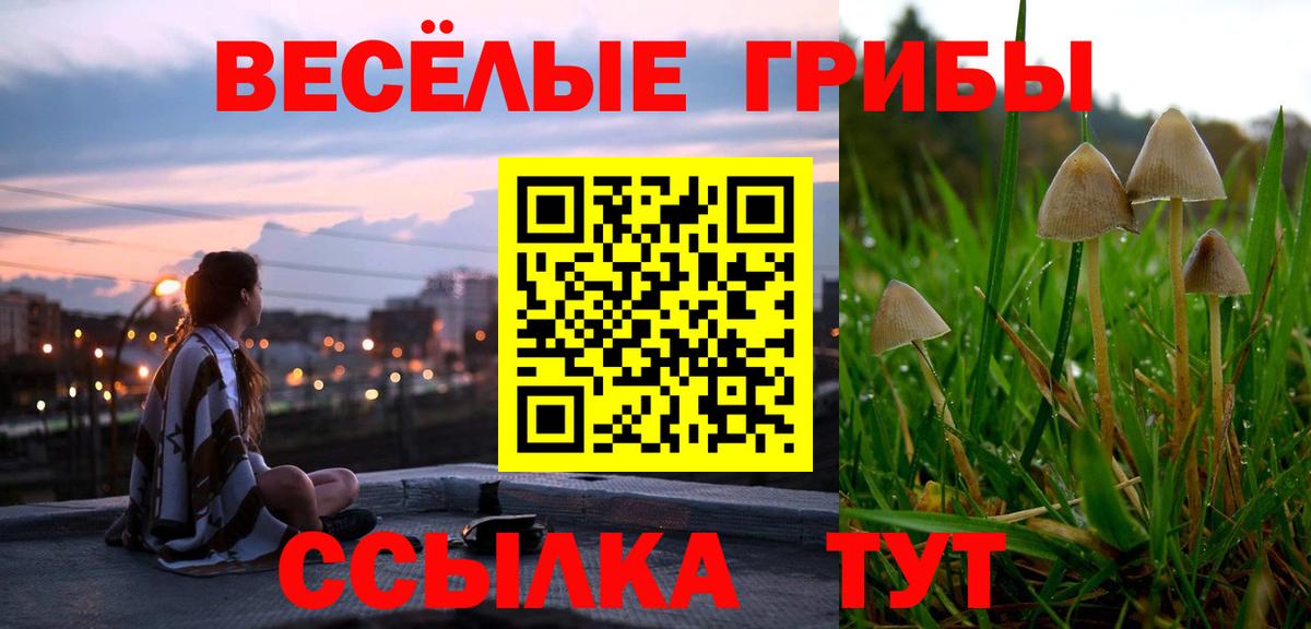 наркошоп  Вход с VPN  Новотроицк  Псилоцибиновые грибы прущие грибы 